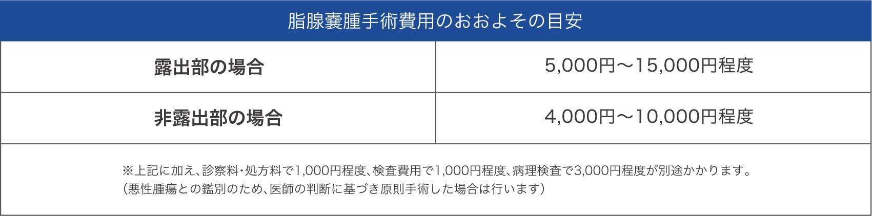 脂腺嚢腫の治療料金_pc